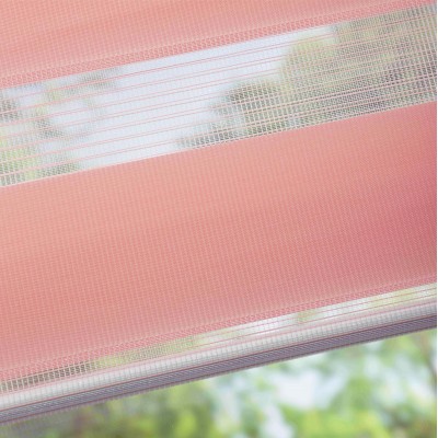 Рулонная штора День-Ночь LB 10-05, 61х160см, розовый 