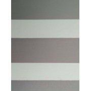 Рулонная штора Jalux ДН Эконом 79 48x135 (серый)