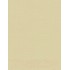 Рулонная штора Delfa Сантайм Лен СРШП-05В 2875 (62x170, шампань)