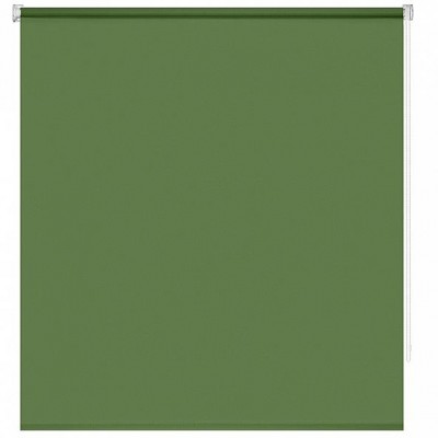 Рулонная штора для кухни «Миниролл Плайн (травяной зеленый)»