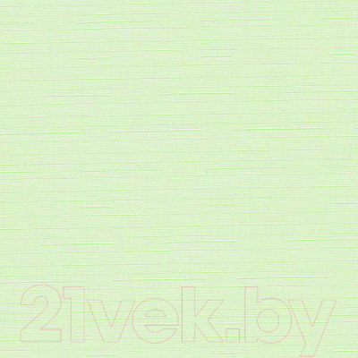Рулонная штора Эскар 98x170 / 310170981701 (светло-зеленый)