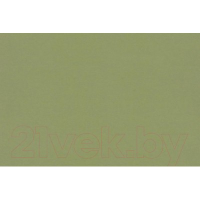 Рулонная штора LEGRAND Блэкаут Сильвер 52x175 / 58 089 689 (зеленый)